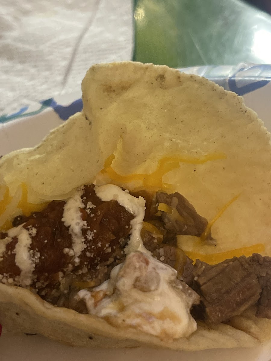 Backyard Taco Photos 2